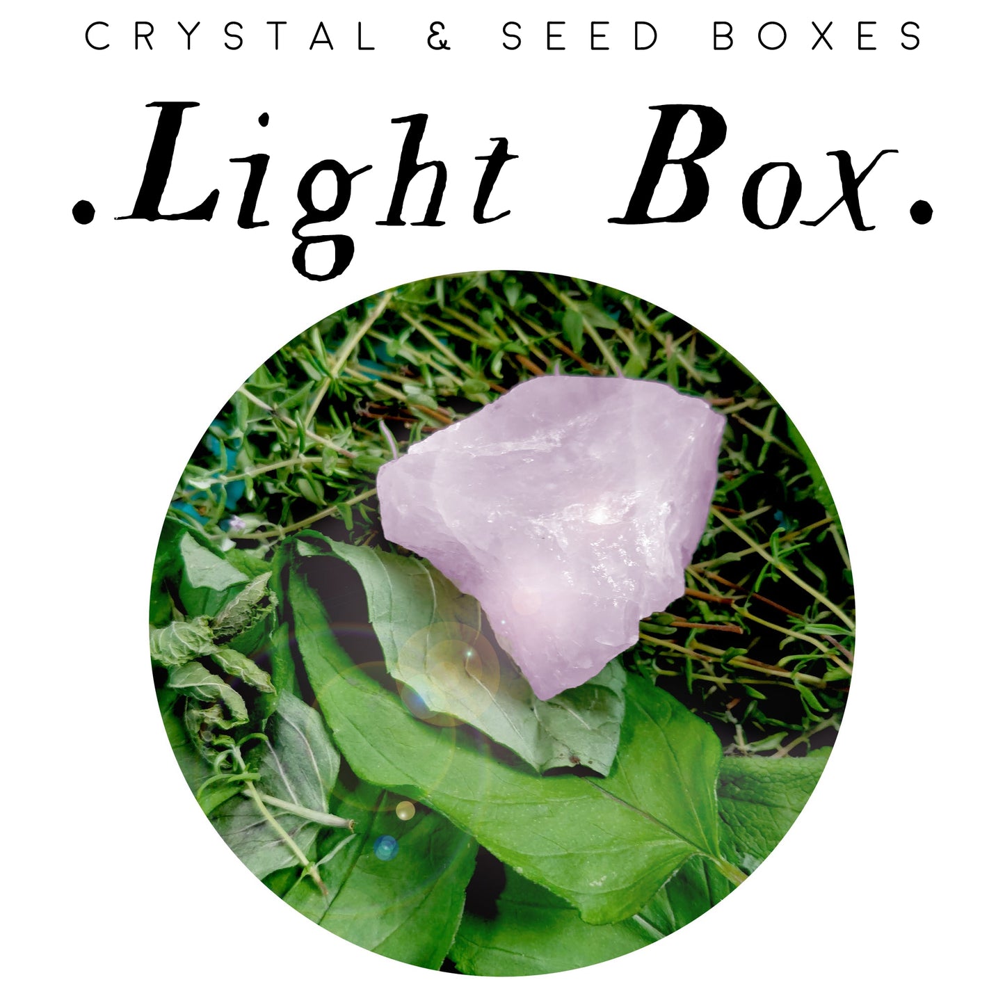 Light Box