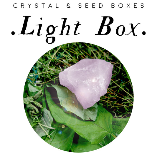 Light Box
