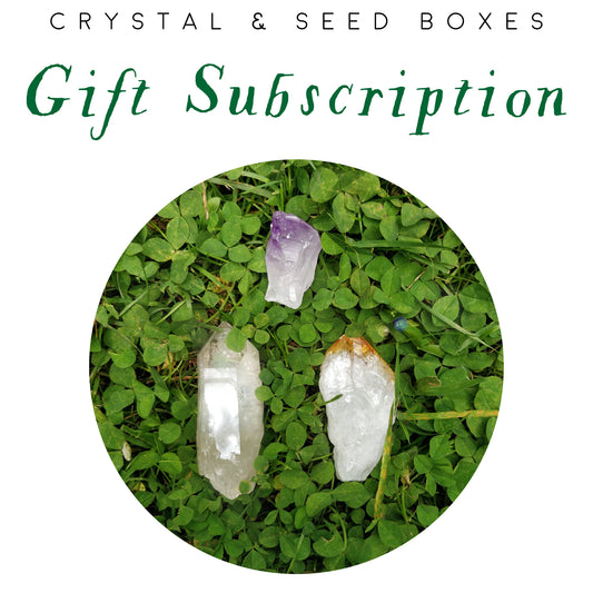 Light Box | Gift