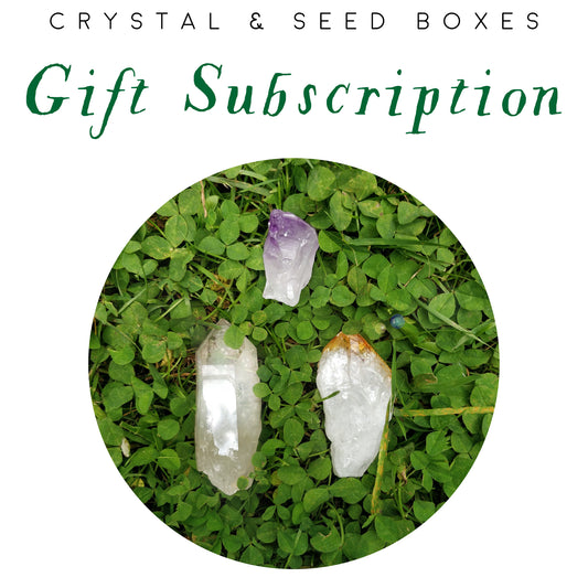 Light Box | Gift Subscription