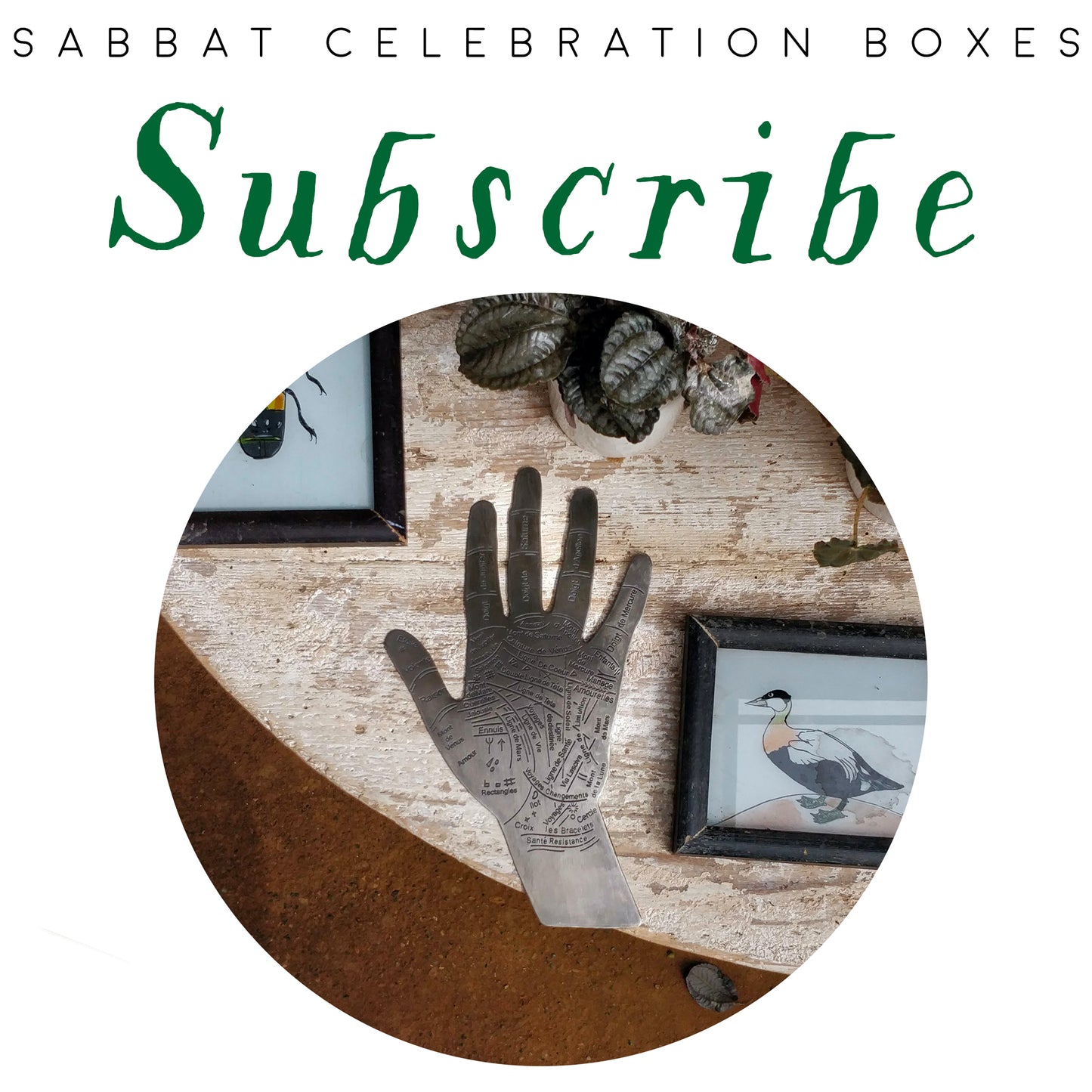 Sabbat Celebration Box | Subscribe